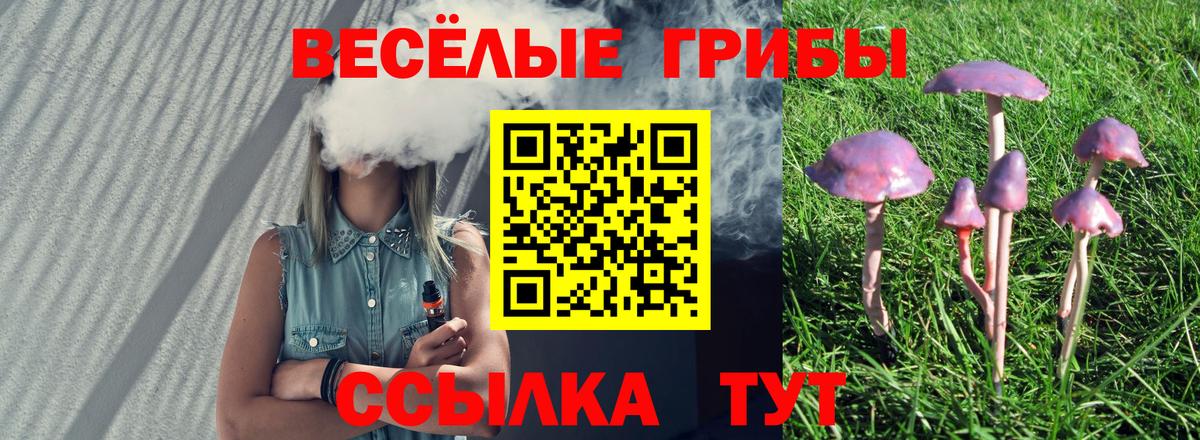 Галлюциногенные грибы Psilocybe  Вход с VPN  Владикавказ 