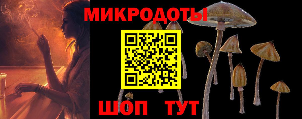 Псилоцибиновые грибы MAGIC MUSHROOMS Владикавказ